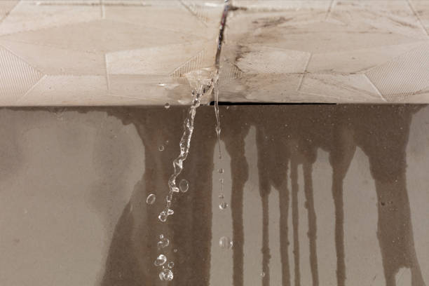 Professional Burst Pipe Cleanup technician working in Pahoa, HI